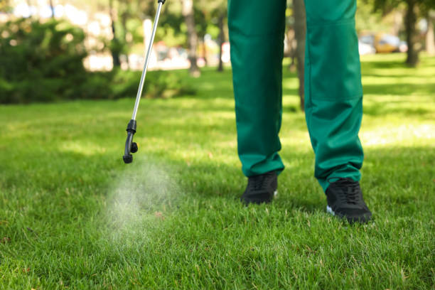Best Wasp Removal Services  in Simpson, PA