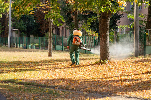 Best Flea Control Services  in Simpson, PA