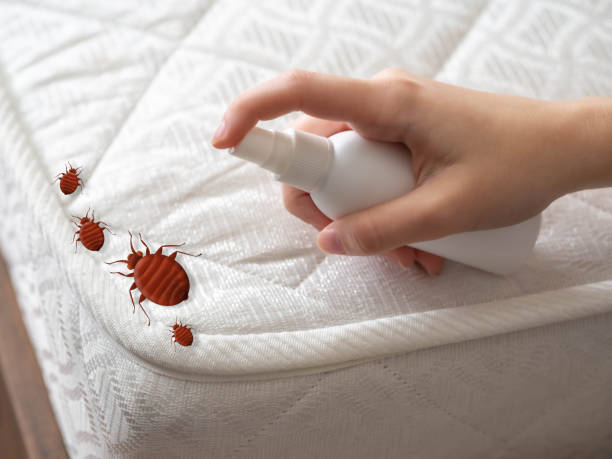 Best Ant Control Services  in Simpson, PA