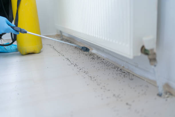 Best Cockroach Control Services  in Simpson, PA