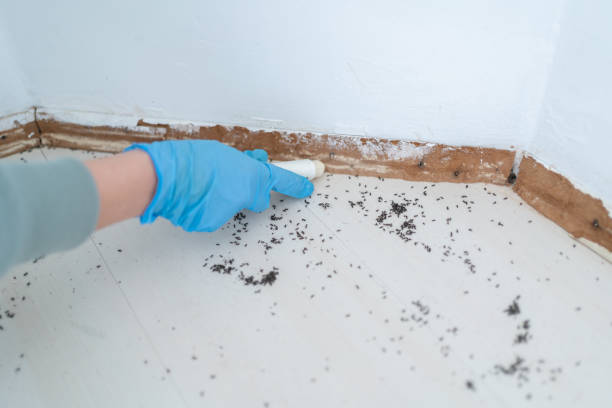 Reliable Simpson, PA Pest Control Solutions