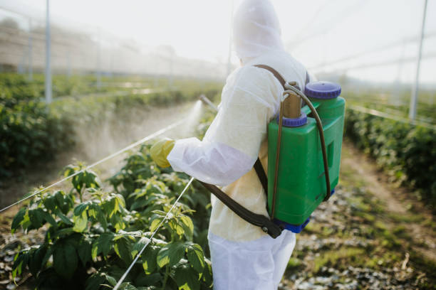 Best Termite Control Services  in Simpson, PA